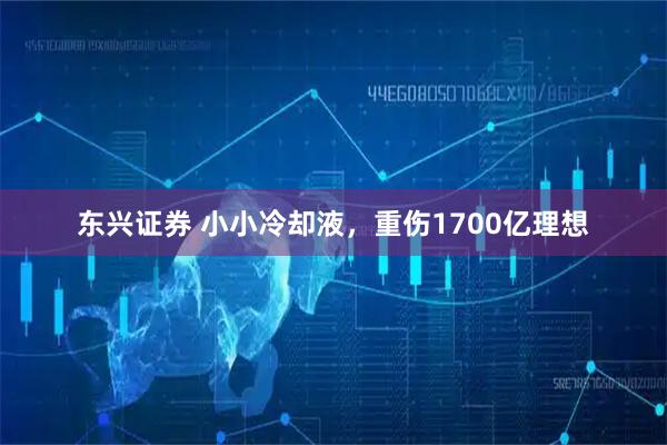 东兴证券 小小冷却液，重伤1700亿理想