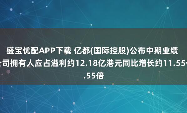 盛宝优配APP下载 亿都(国际控股)公布中期业绩 公司拥有人应占溢利约12.18亿港元同比增长约11.55倍