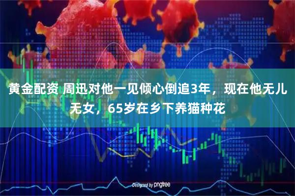 黄金配资 周迅对他一见倾心倒追3年，现在他无儿无女，65岁在乡下养猫种花
